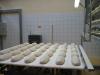 Bread forming line for German bread and East Europe bread 